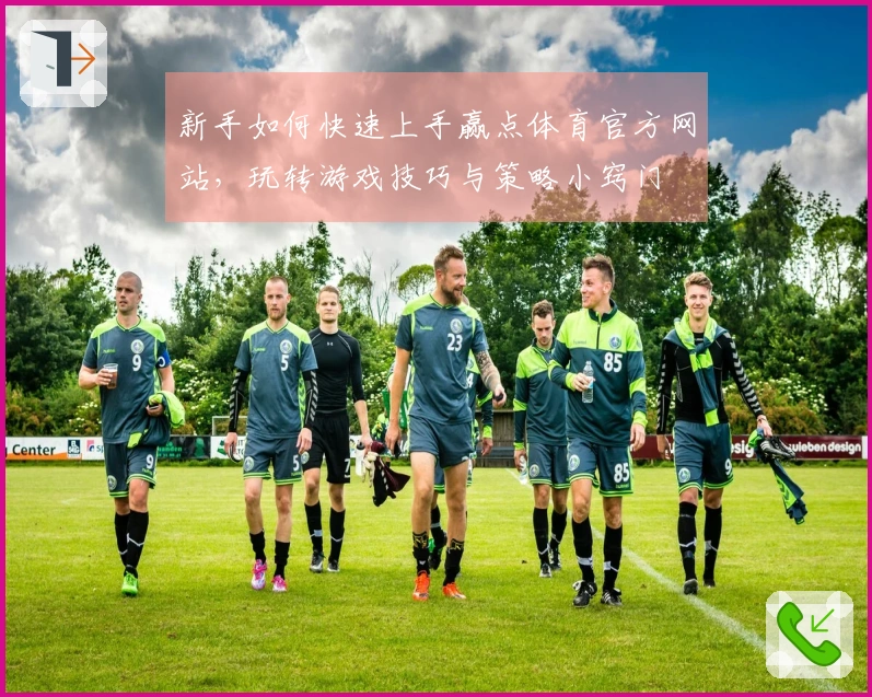 新手如何快速上手赢点体育官方网站，玩转游戏技巧与策略小窍门