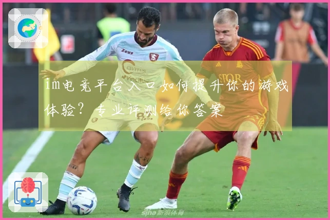 im电竞平台入口如何提升你的游戏体验？专业评测给你答案