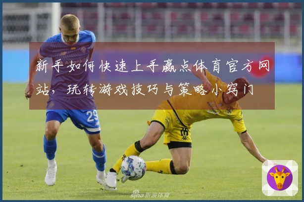 新手如何快速上手赢点体育官方网站，玩转游戏技巧与策略小窍门