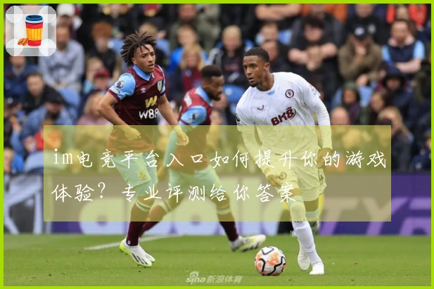 im电竞平台入口如何提升你的游戏体验？专业评测给你答案