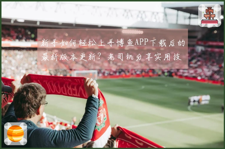 新手如何轻松上手博鱼APP下载后的最新版本更新？老司机分享实用技巧与体验差异
