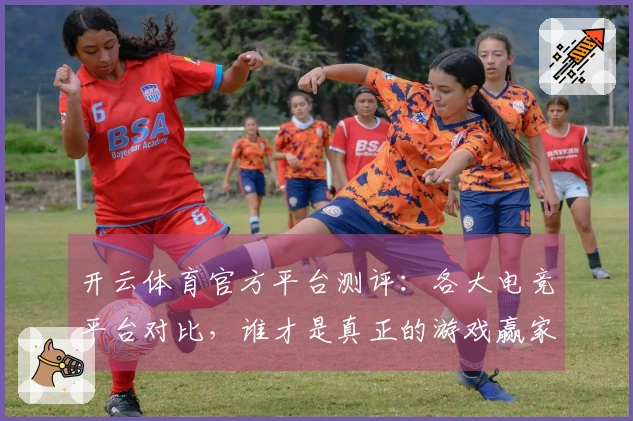 开云体育官方平台测评：各大电竞平台对比，谁才是真正的游戏赢家？