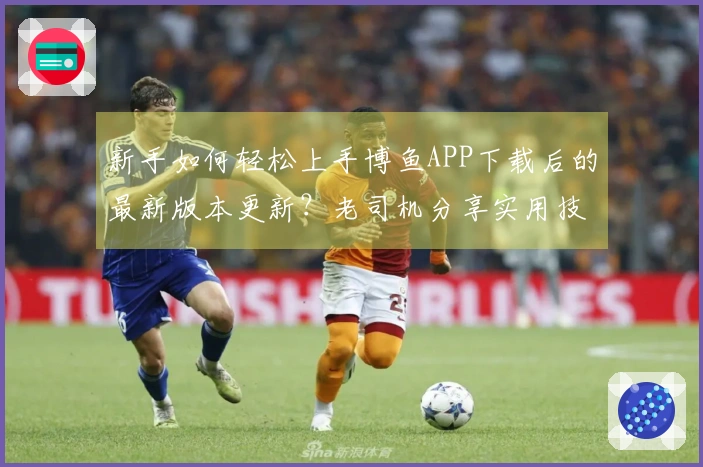 新手如何轻松上手博鱼APP下载后的最新版本更新？老司机分享实用技巧与体验差异